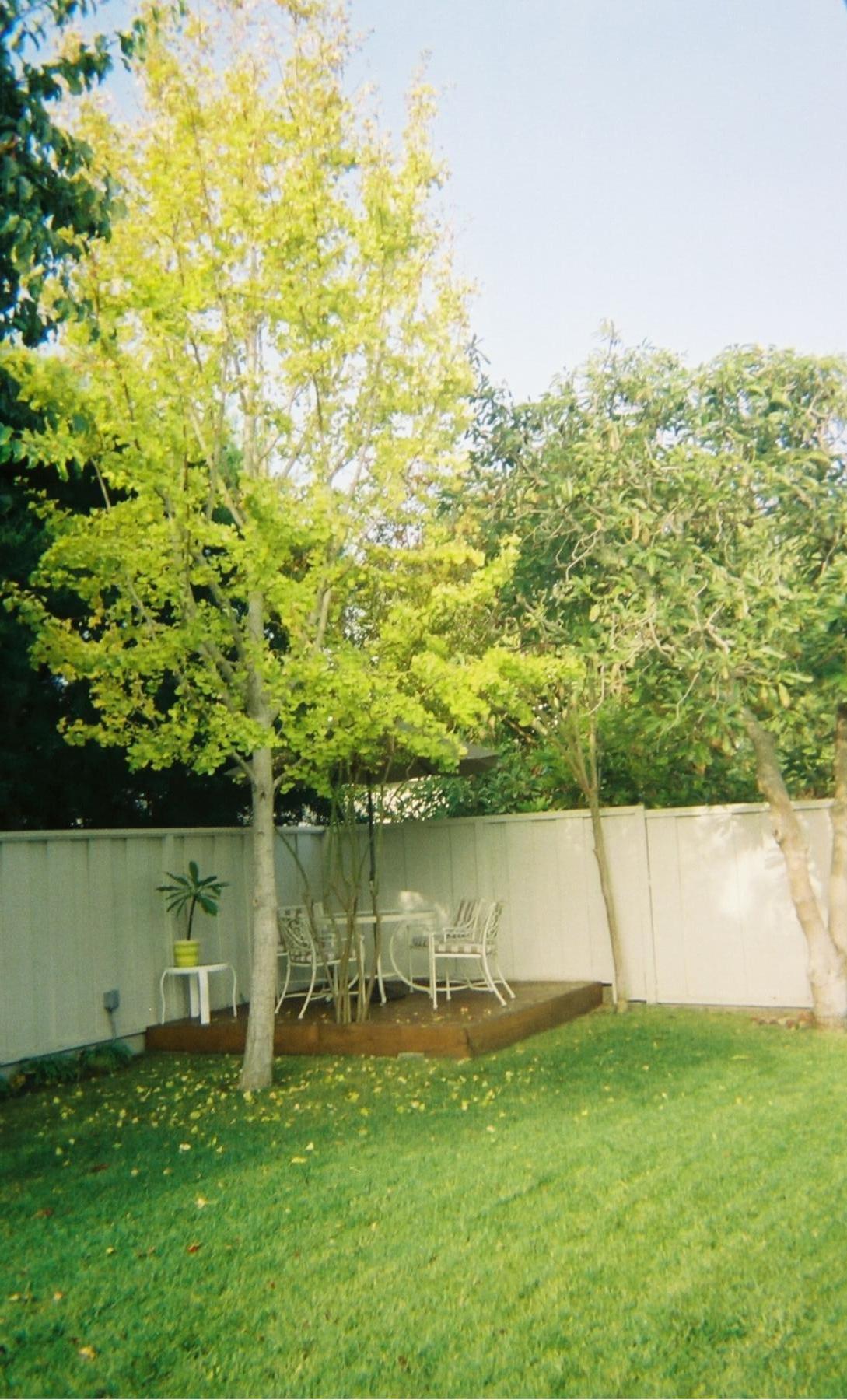 Terri's writing tree house