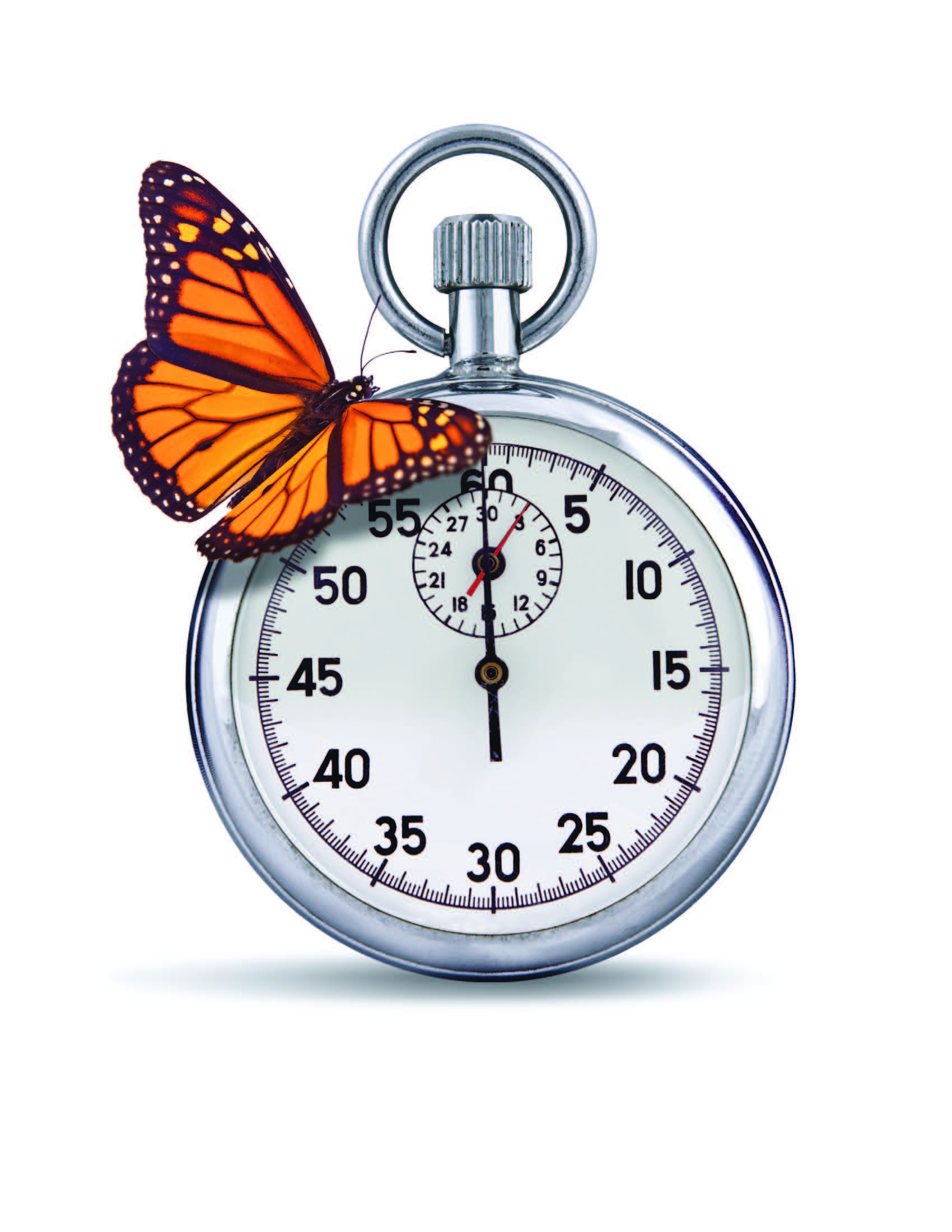 butterfly&stopwatch_hiresFINAL[1]